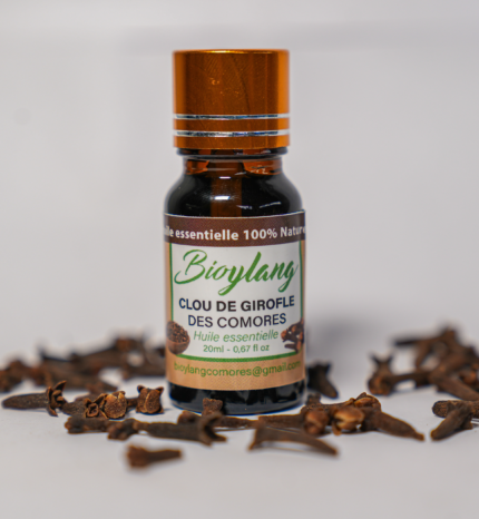 Clou de girofle des comores